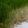 HydroGreen, Inc.