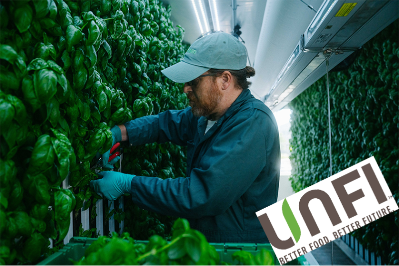 guy in baseball cap harvesting indoor greens