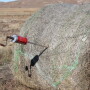 Testing_Hay