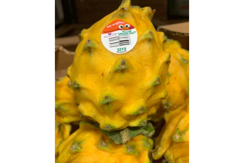 dragon fruit