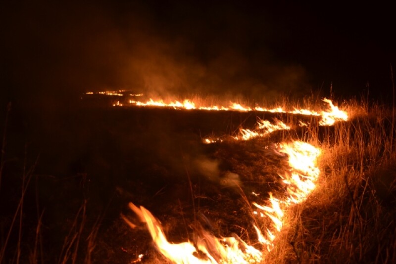 Fire