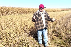 Soybean Harvest