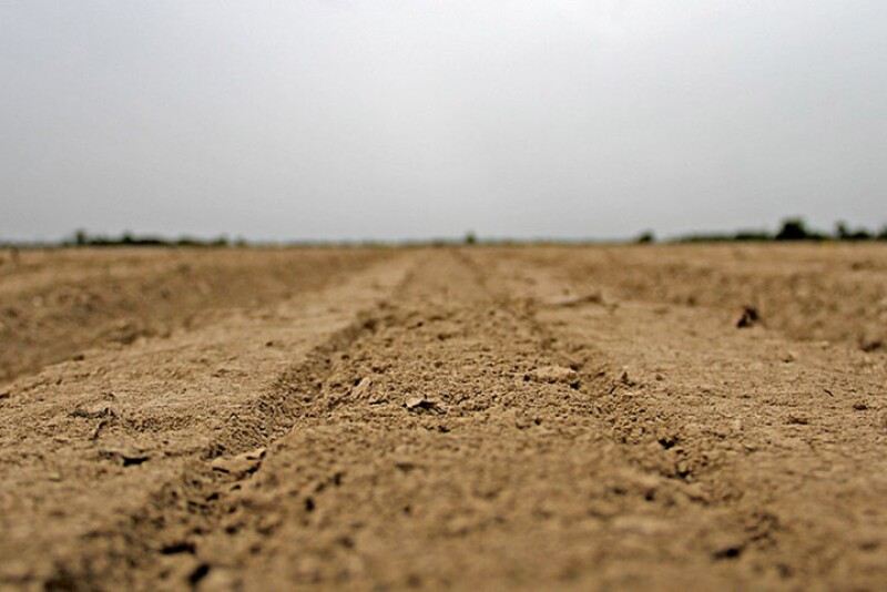FARMLAND