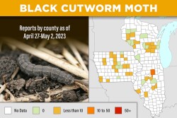 The pest’s movement is being tracked by ipmPIPE, a pest mapping and forecasting system developed by the National Institute for Food and Agriculture (NIFA), land-grant partners, along with Animal Plant Health Inspection Service and Risk Management Agency. The system reports some significant flights have already been found since mid-April in states including Illinois, Iowa and Wisconsin. 

