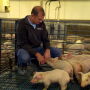 Scott Hays MO Pork Producer and NPPC President