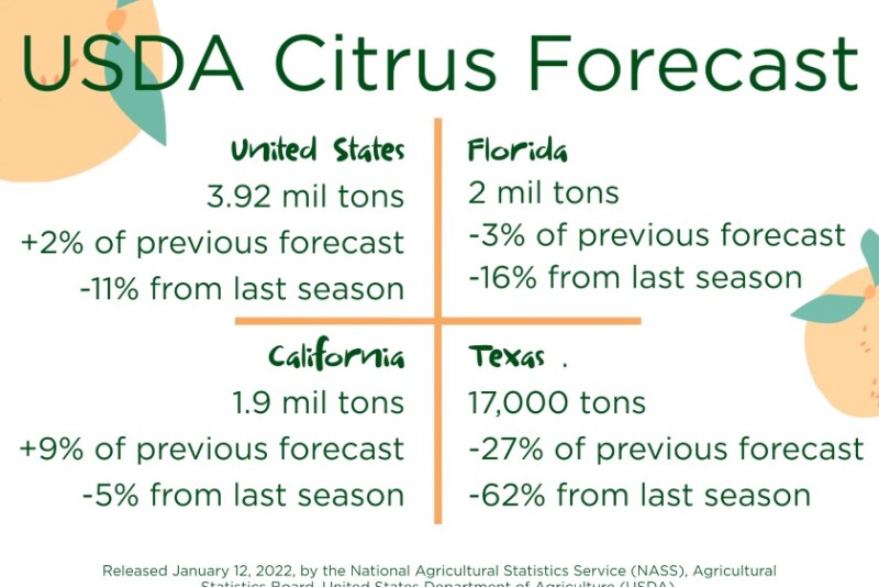 US citrus forecast