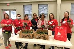 Seven women in red T-shirts stand side-by-side, holding avocados. There is a white table in front of them holding two cardboard boxes of avocados, next to a red tote with the Brighter Bites logo.