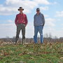Cover crops provide an additional source of feed for Kyle and Ross Grumke’s cattle—and are especially valuable when forage quality is lacking or prices are high.