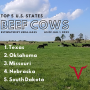 Top 5 Beef Cow States