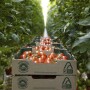 AppHarvest
