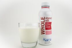 Whole Milk