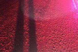 A load of Skittles spilled on a rural highway in Wisconsin and it had people wondering where they were headed. The answer: to feed cattle.