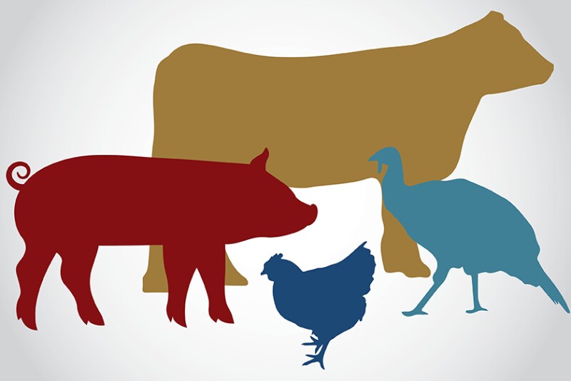 Livestock 