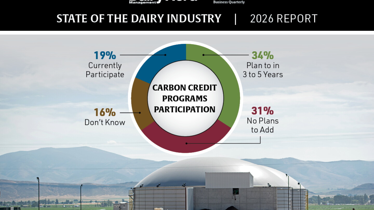 The Carbon Credit Stall: Why Dairy’s