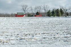 winter field barn