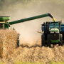 Harvesting corn on the Weihmeir farm.