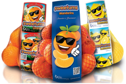 citrus rebranding