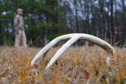 Jon Jackson Bennett Deer Shed