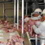 Packing plant workers