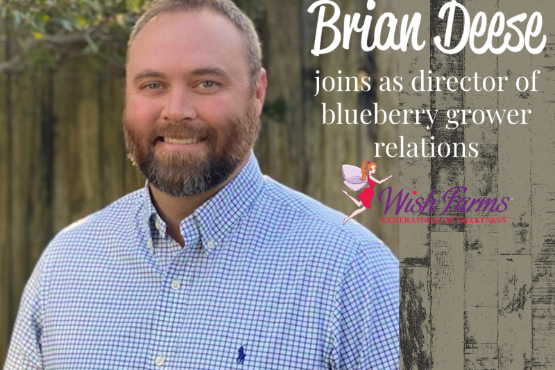 DEESE_Brian_WishFarms_web.png