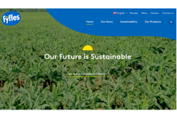 Fyffes website.png