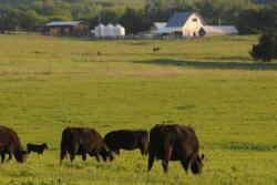 The author is an "advocate" for family farms.