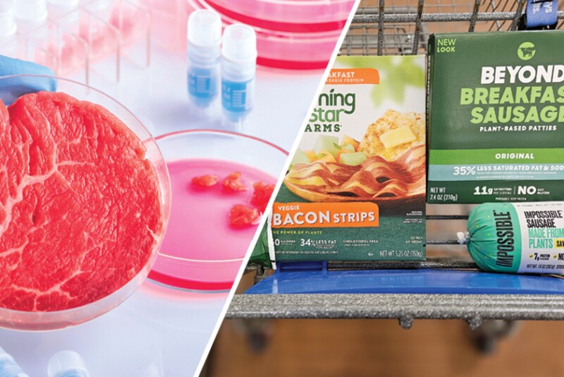 Lab Grown Meat and Plant Meat Alternative