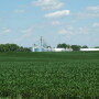For combating SCN during the 2022 growing season, The SCN Coalition encourages growers to work with their advisors to select the appropriate SCN-resistant varieties. 