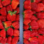 Gem-Pack Berries