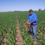 Ken Ferrie Evaluating Stand Counts