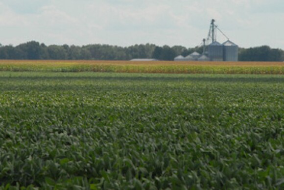 farmland values