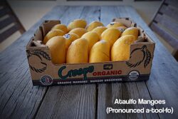crespo organic ataulfo mangoes