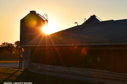 hog barn feed sunset - Lindsey Pound