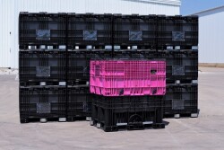 Pink Seedbox.jpg