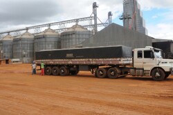 Brazil Grain Space