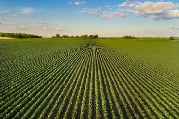 Farmland