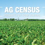 USDA will release the 2017 Census of Agriculture on Thursday, April 11. Ahead of the data release, take a look at some key data sets from the 2012 edition.