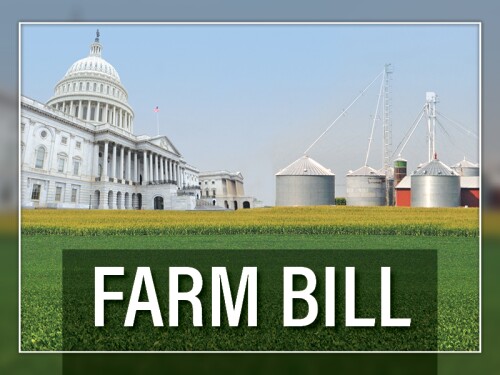 Farm bill - capitol - grain system - soybean field - corn field - By Lindsey Pound