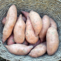 sweetpotatoes