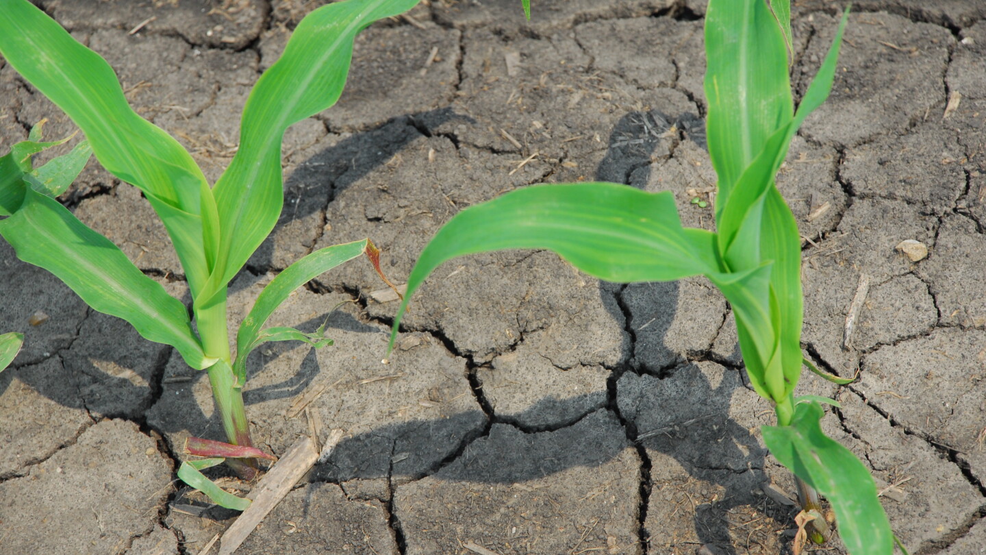 Drought expected to develop across eastern Corn Belt - Pro Farmer