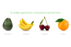 FAC7F571-4C81-4127-A52A42D1AA2DFE12.png