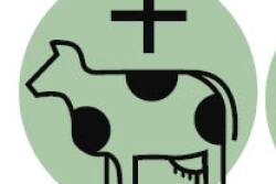 We asked veterinarians for their thoughts on the key challenges and opportunities for success in eight categories during the decade of the 2020s.