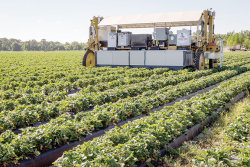 A Harvest CROO machine at work in a field.