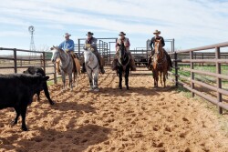 Jimmy Sterling and cowboys of Sterling Cattle Company, Coahoma, Texas.
