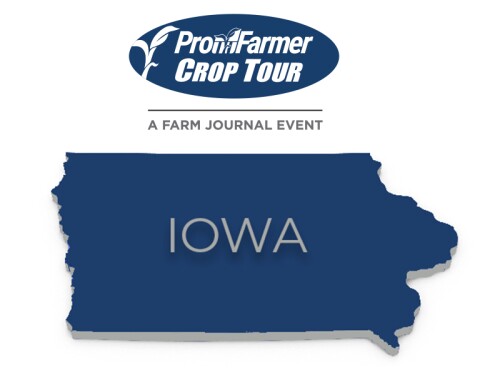 Pro Farmer Crop Tour Iowa