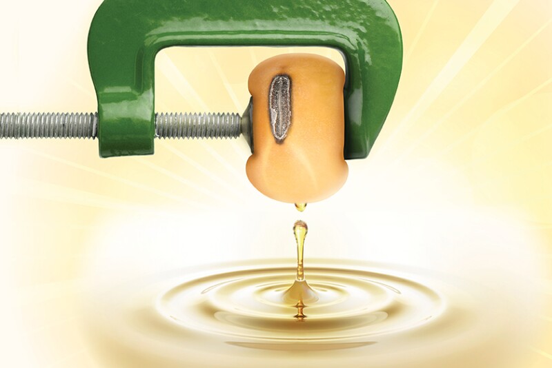 Fuel the Crush Revised.jpg