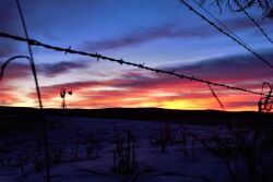 Dexter Ranch - PC Paige Carlson