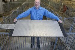 Robert Stwalley cooling pad for sows