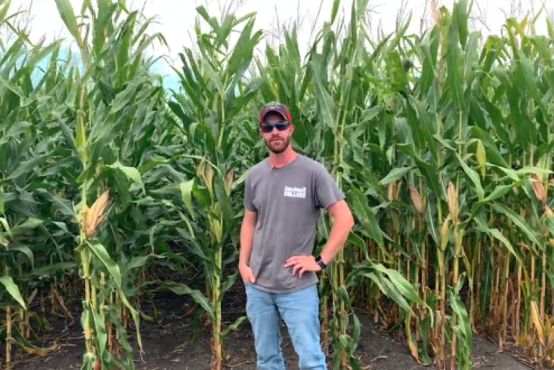 Late-season scouting doesn’t tell the whole story, but it may help you make future adjustments to your N program to maximize the grain-fill period, says Matt Duesterhaus.