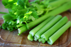 Celery